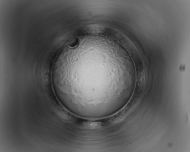 X0000103440553200809121406