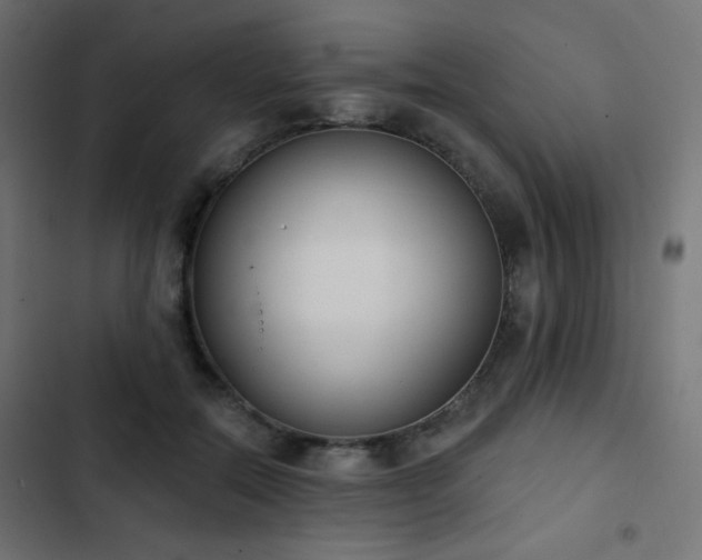 X0000103440554200809121406