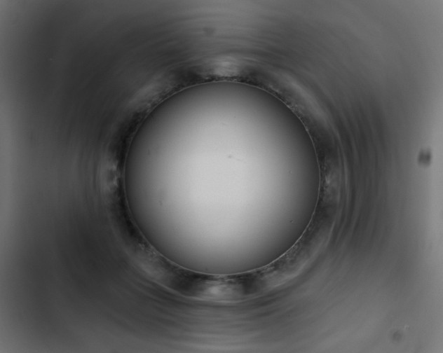 X0000103440555200809121406