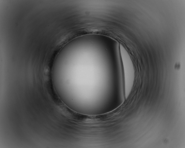 X0000103440556200809121406