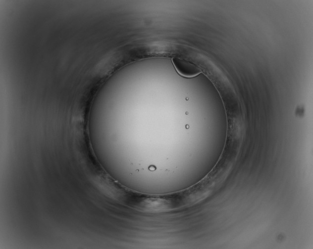 X0000103440557200809121406