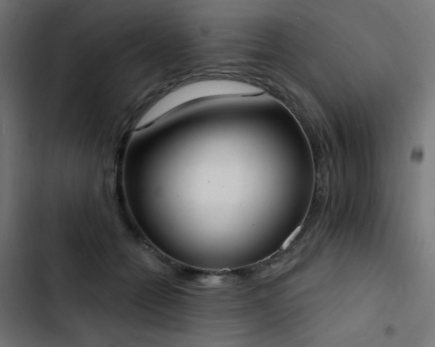 X0000103440558200809121406