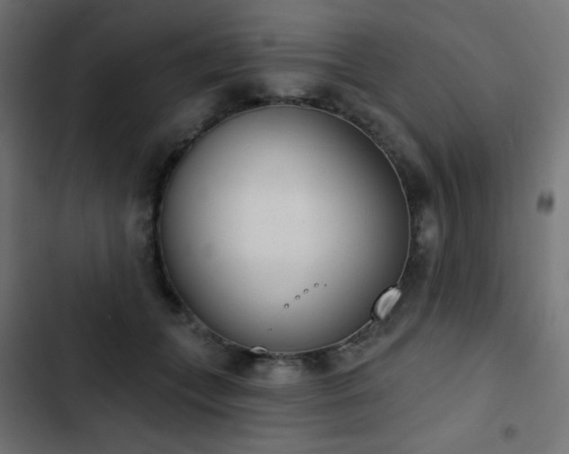 X0000103440559200809121406