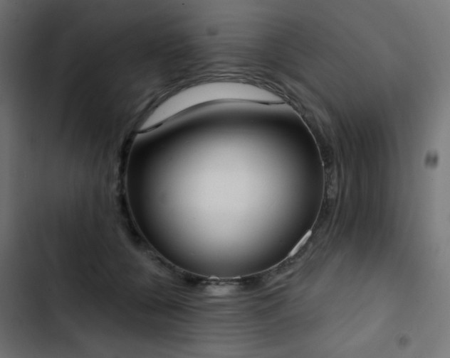 X0000103440560200809121406