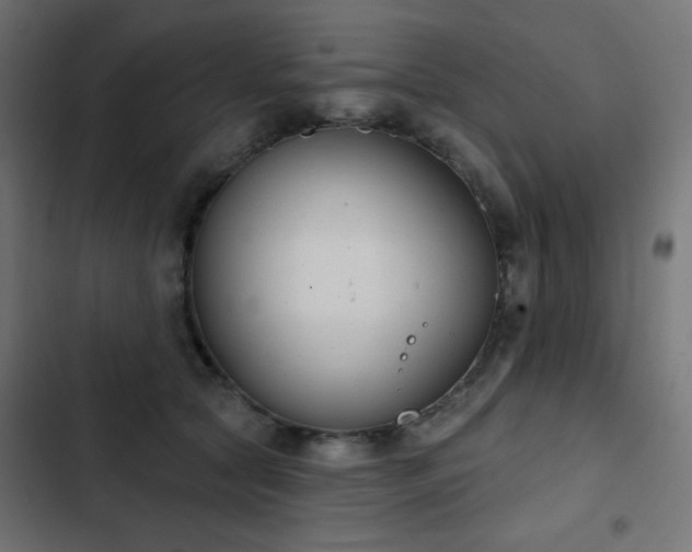 X0000103440561200809121406