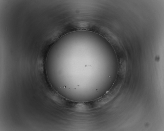 X0000103440562200809121406