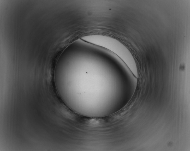 X0000103440566200809121406