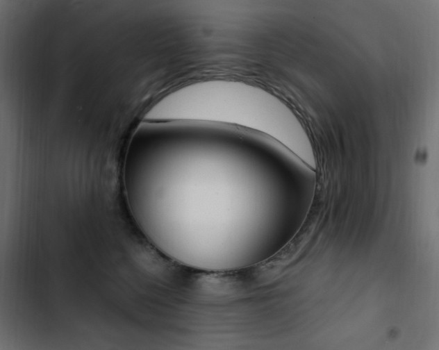 X0000103440568200809121406