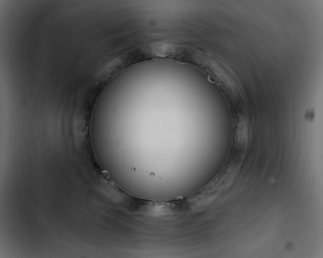 X0000103440569200809121406