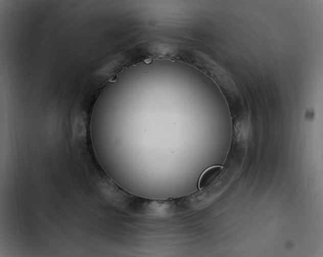 X0000103440570200809121406