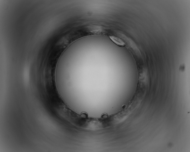 X0000103440572200809121406