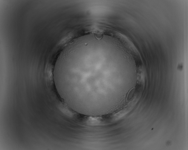 X0000103440573200809121406