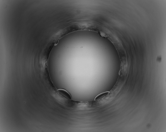 X0000103440574200809121406