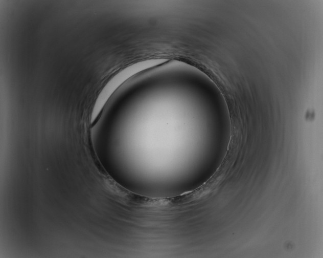 X0000103440576200809121406
