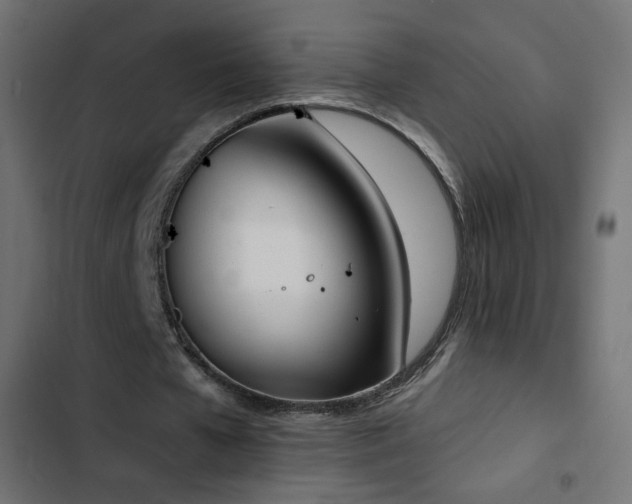 X0000103440577200809121405