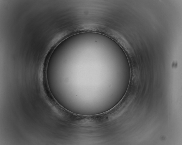 X0000103440578200809121405