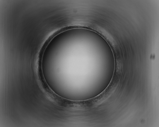 X0000103440580200809121405