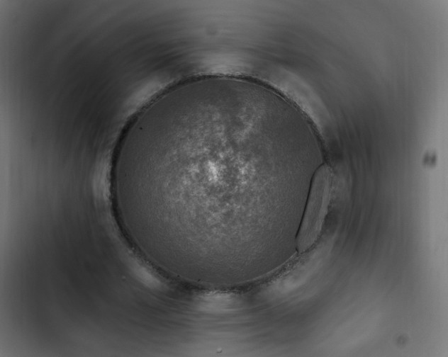 X0000103440581200809121405