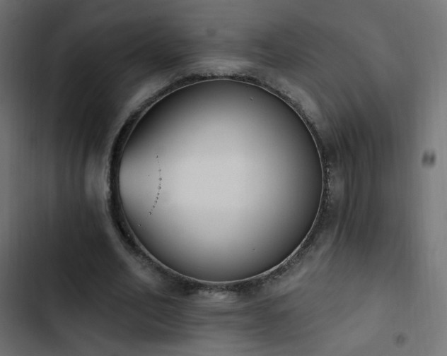 X0000103440582200809121405