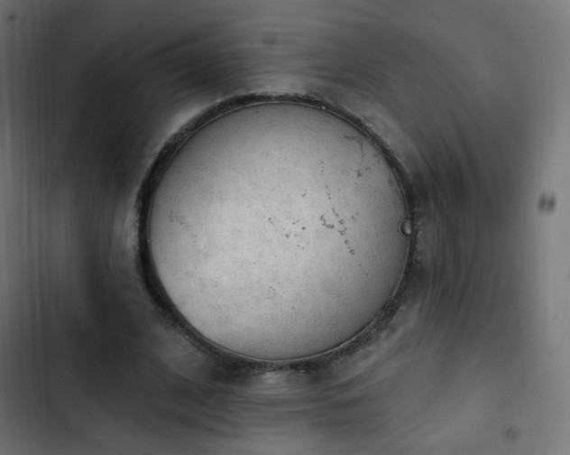 X0000103440584200809121405