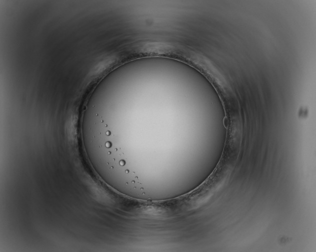 X0000103440585200809121405
