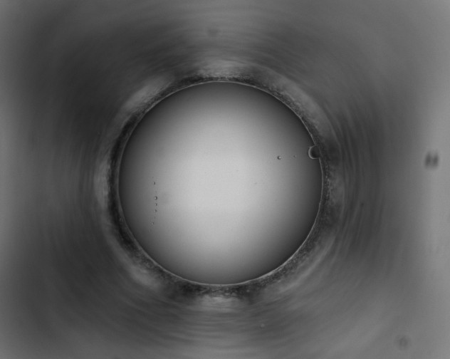 X0000103440586200809121405