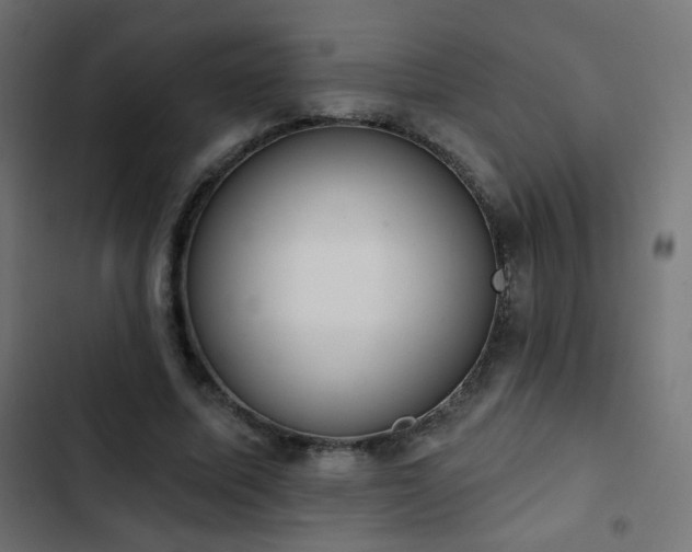 X0000103440587200809121405