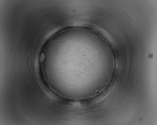 X0000103440588200809121405