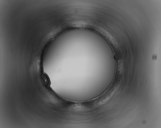 X0000103440589200809121405
