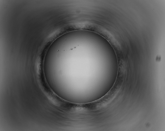 X0000103440590200809121405
