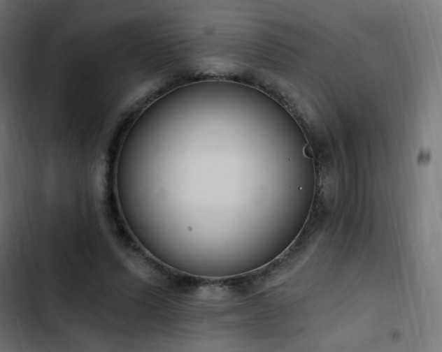 X0000103440591200809121405