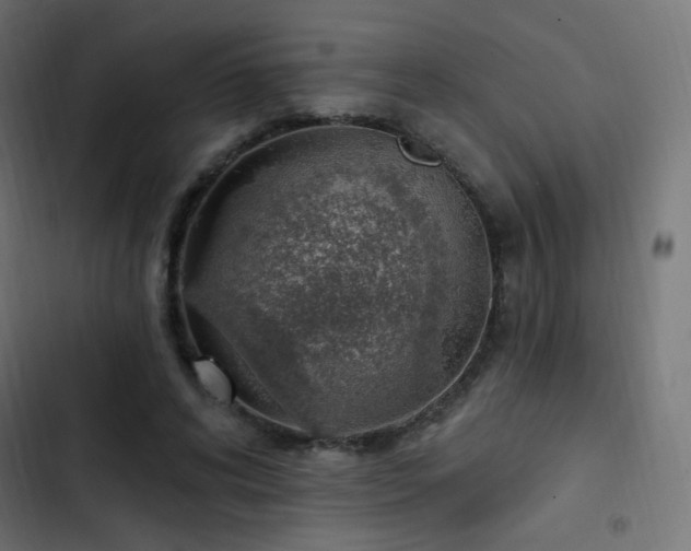 X0000103440592200809121405