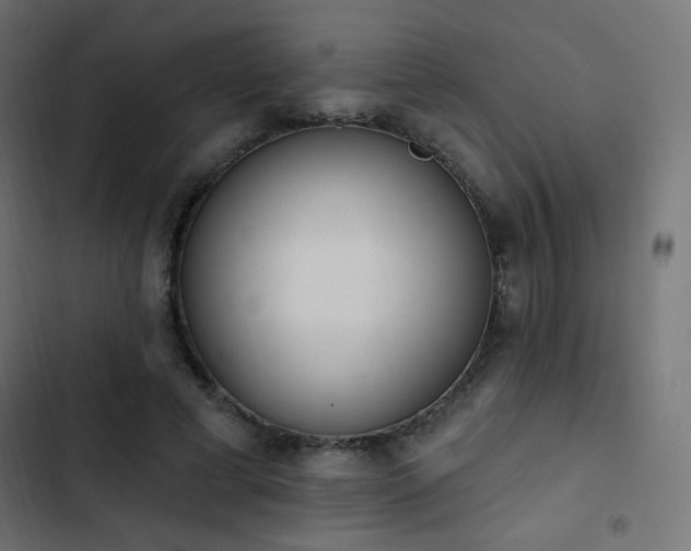 X0000103440593200809121405