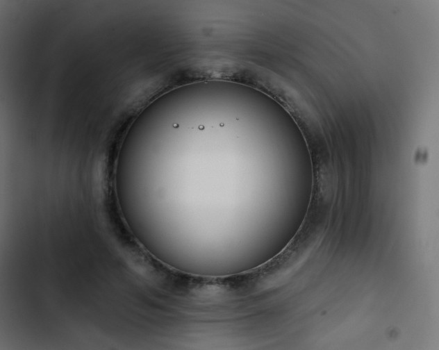 X0000103440594200809121405