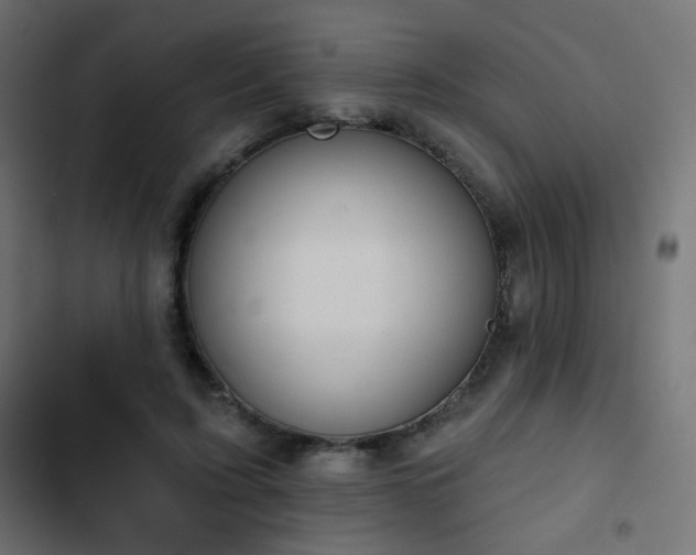 X0000103440595200809121405