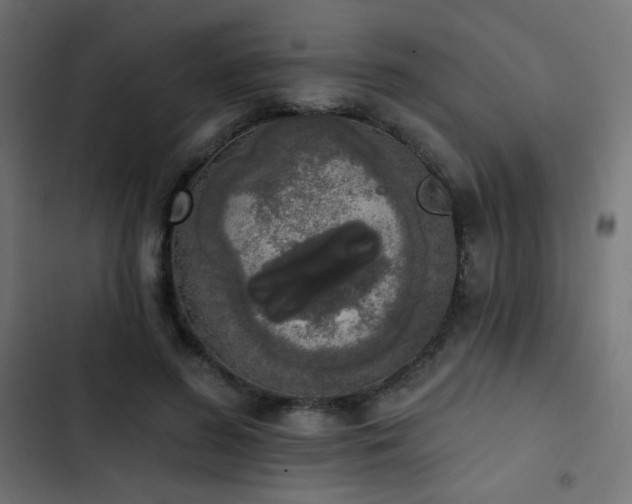 X0000103440596200809121405