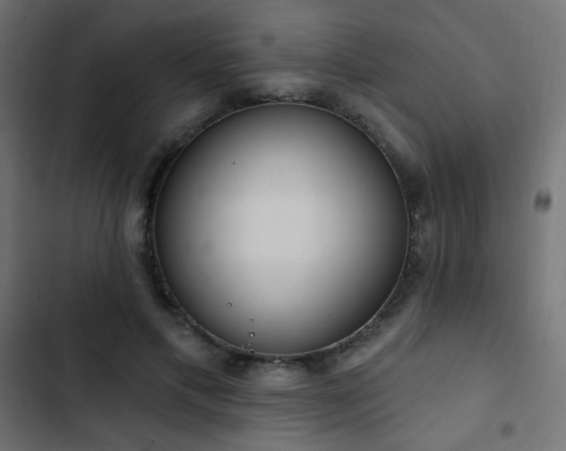 X0000103440597200809121405