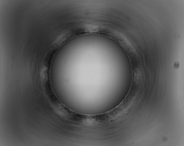 X0000103440598200809121405