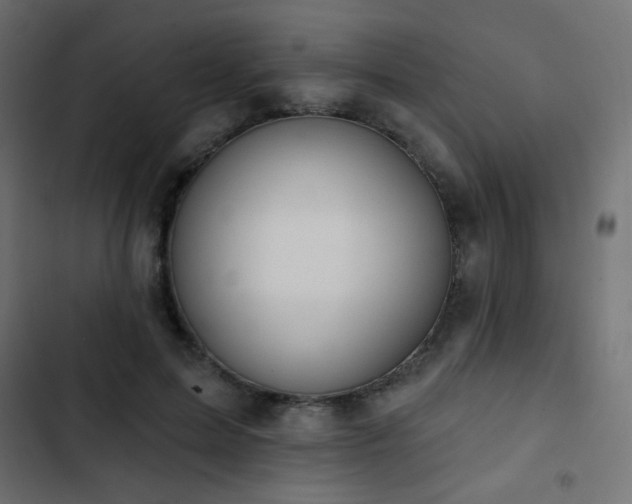X0000103440599200809121405