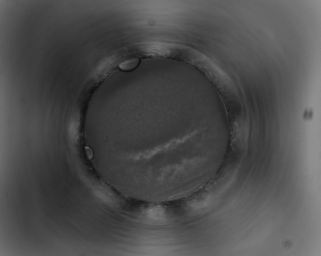 X0000103440600200809121405