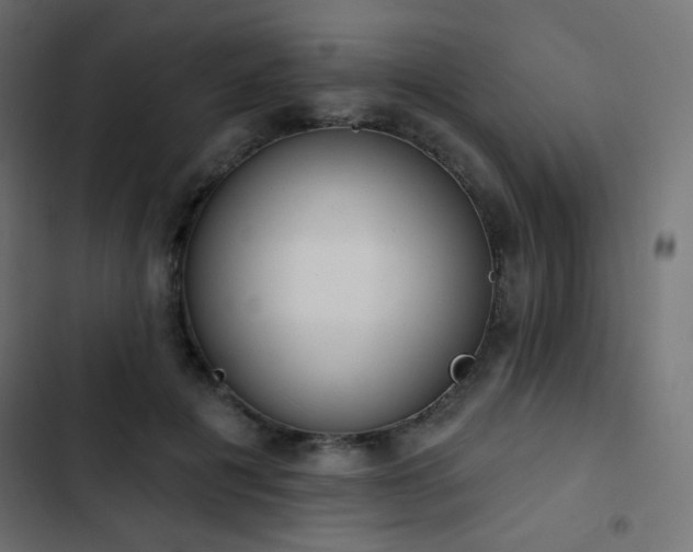 X0000103440601200809121405
