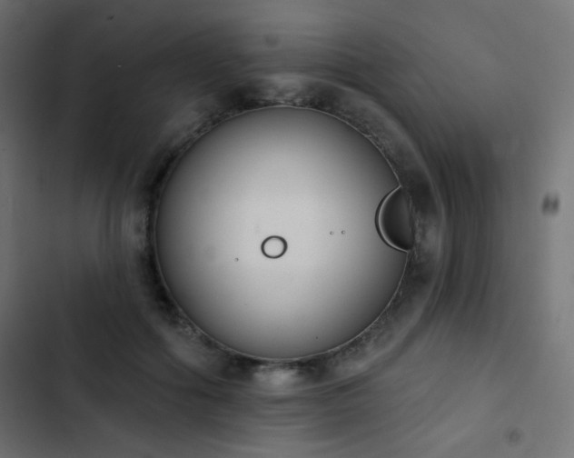 X0000103440602200809121405
