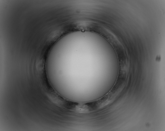 X0000103440603200809121405