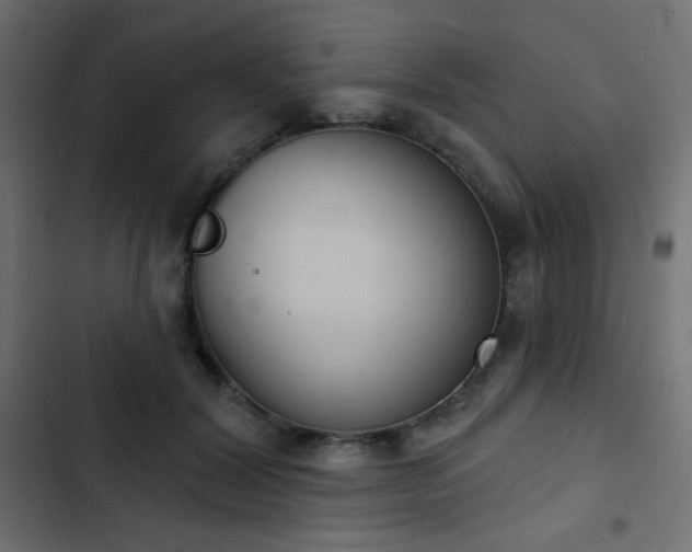 X0000103440604200809121405