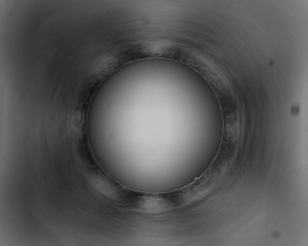 X0000103440605200809121405