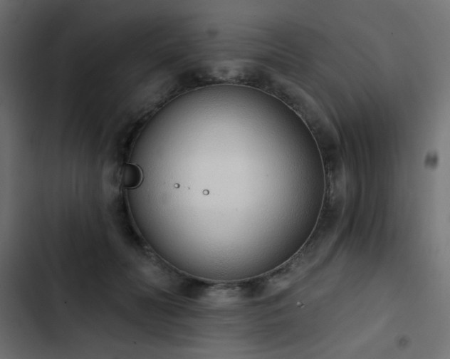 X0000103440606200809121405