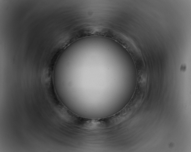 X0000103440607200809121405