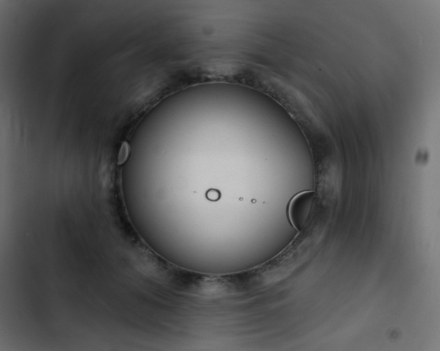 X0000103440608200809121405