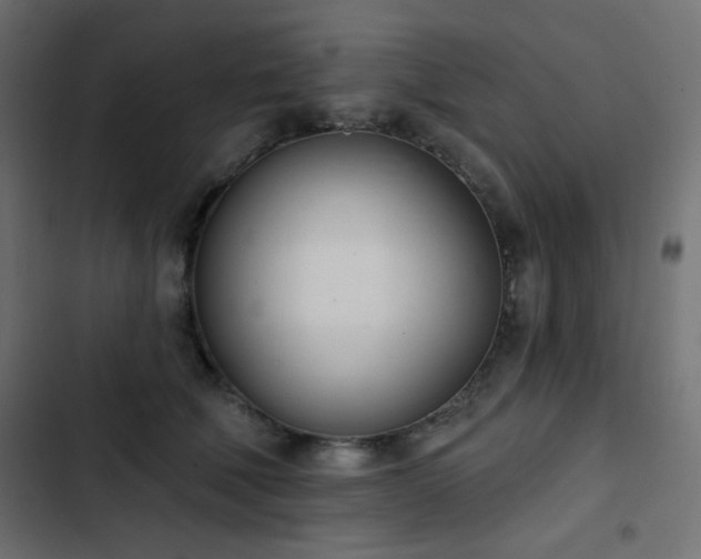 X0000103440610200809121405