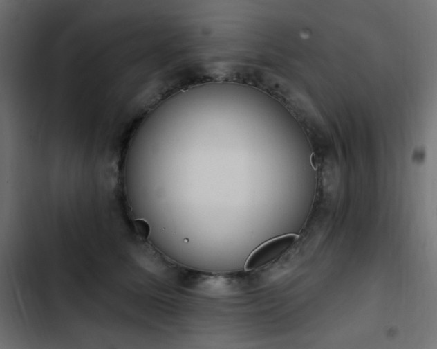 X0000103440611200809121405